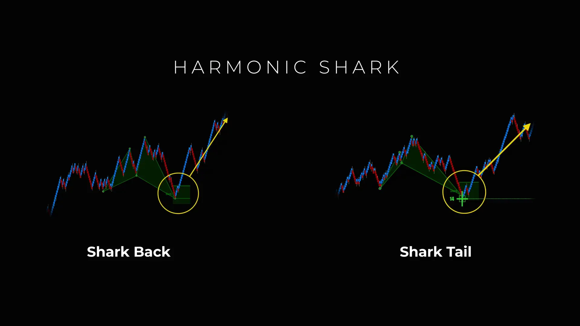 Checklist items listed for taking Shark Back and Shark Tail trades
