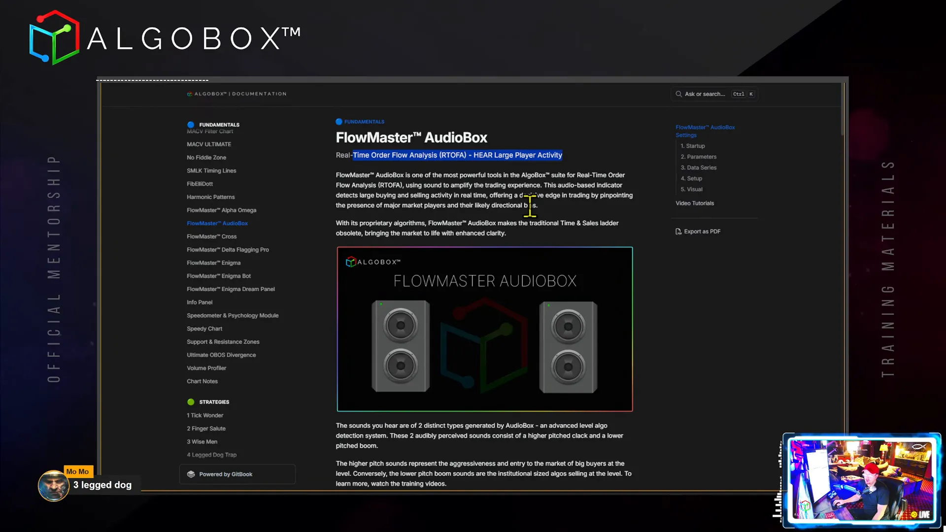 Flowmaster™ AudioBox audio indicator enhancing order flow awareness