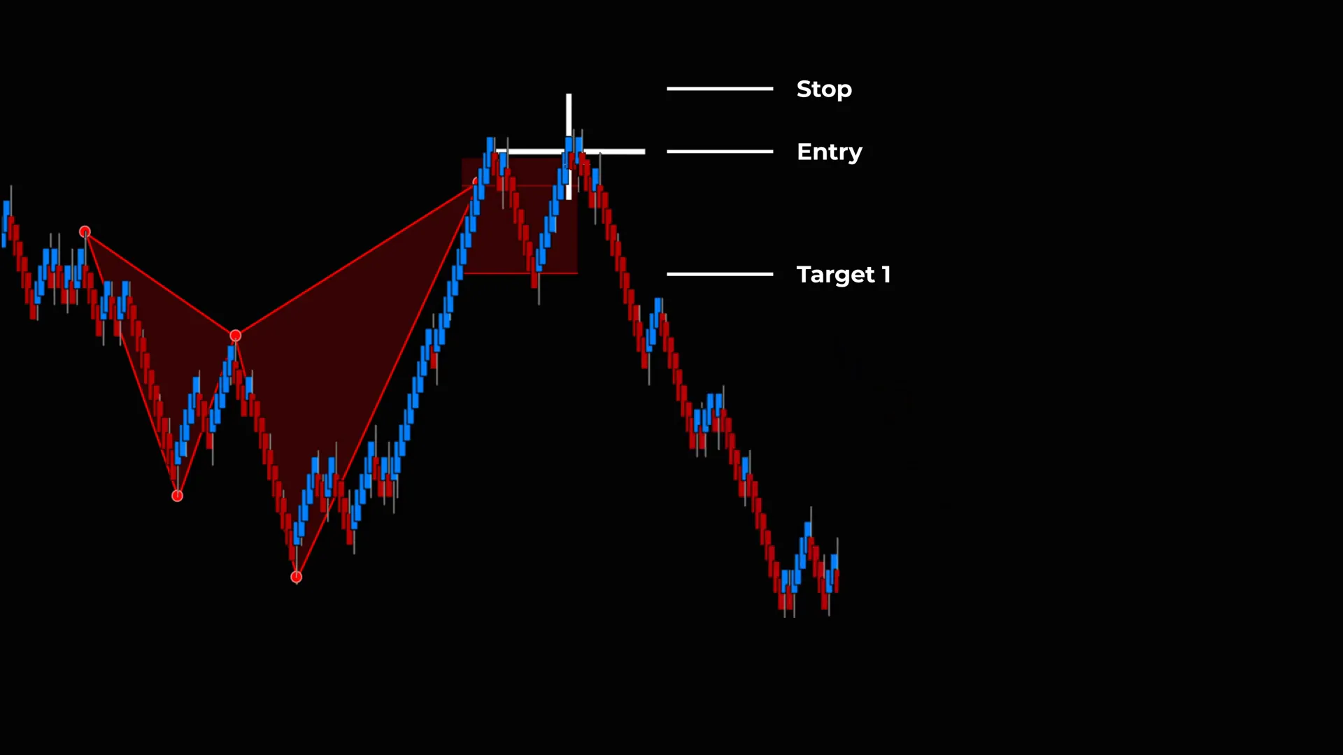 Checklist of common mistakes and fixes for shark back and shark tail trading